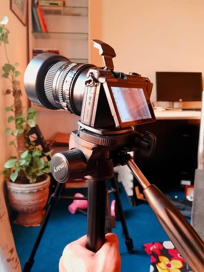 Sony 5100 mirrorless ,with 2 lens , jmary tripod,charger