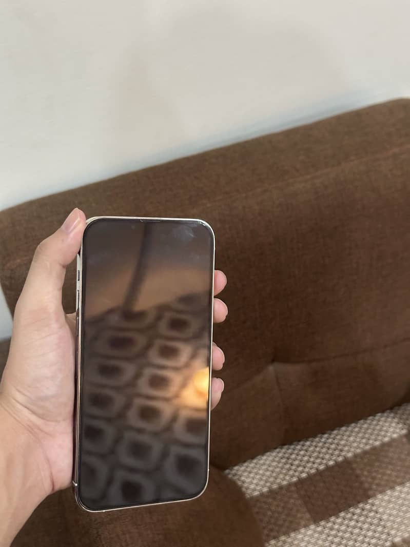 Apple iPhone 13 Pro Max 1