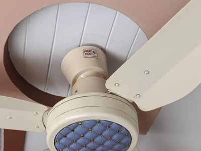 Pak Fan 220 Volts