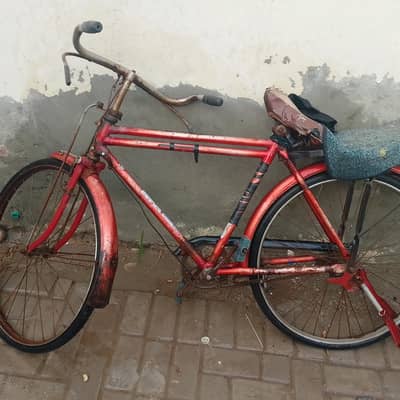 Cycle
