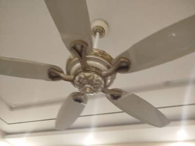 pak fan 5 blade wala ha