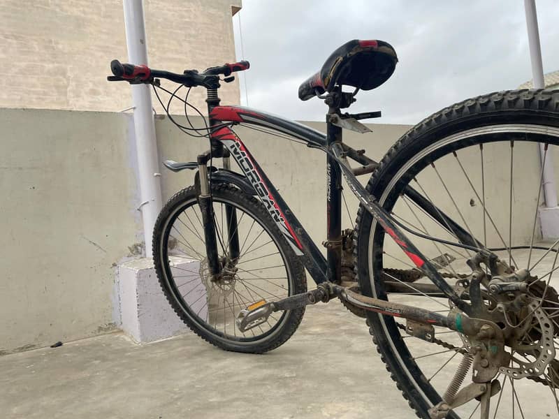 large  bicycle 0