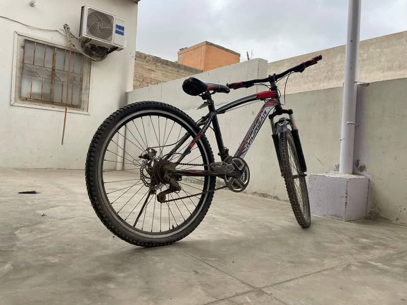 large  bicycle 1