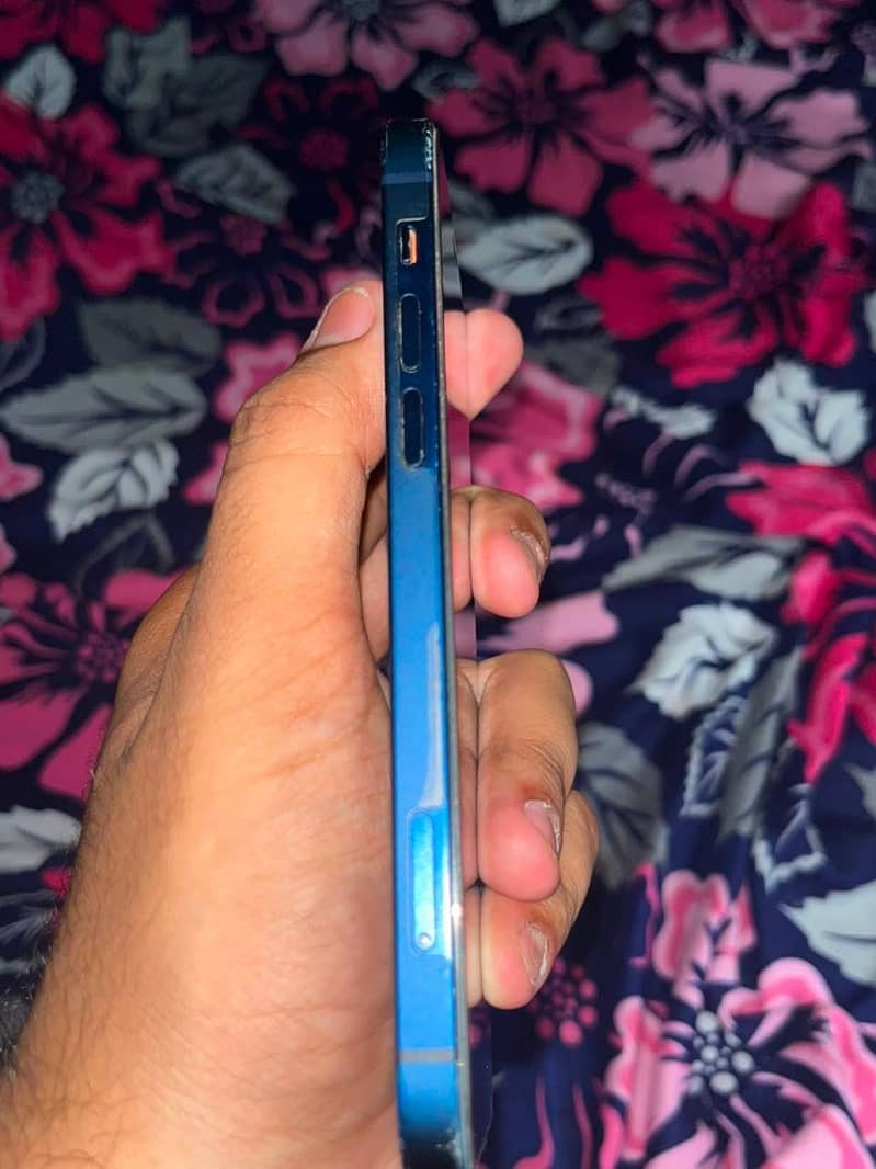 Apple iPhone 12 1