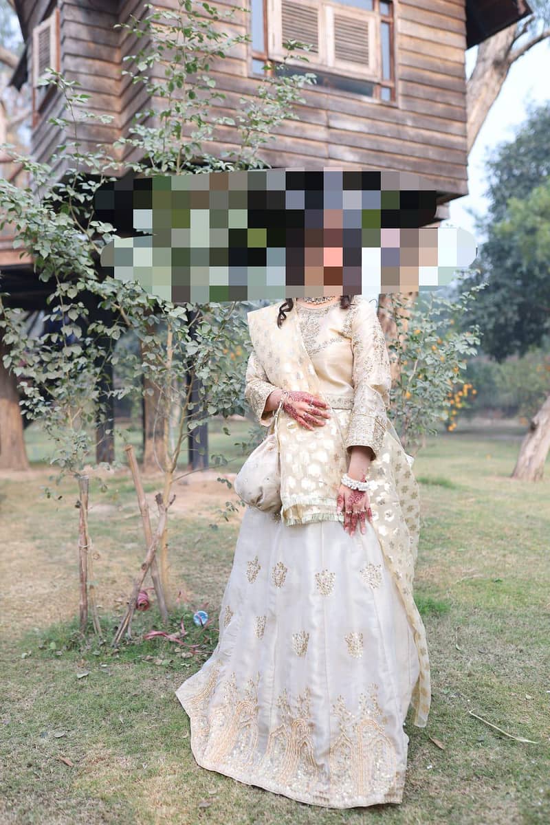 lengha choli(2) 1