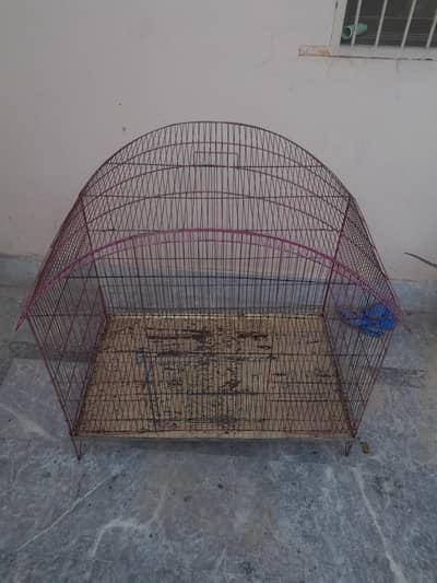 parrot cage