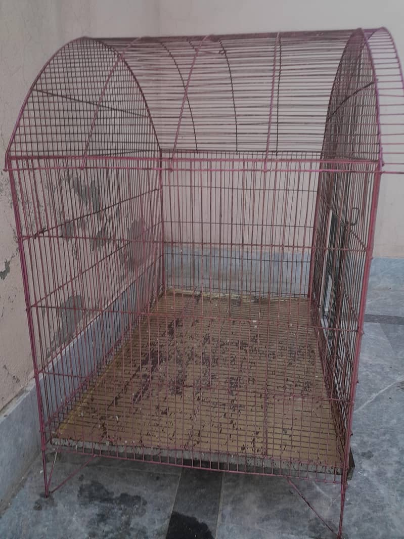 parrot cage 1