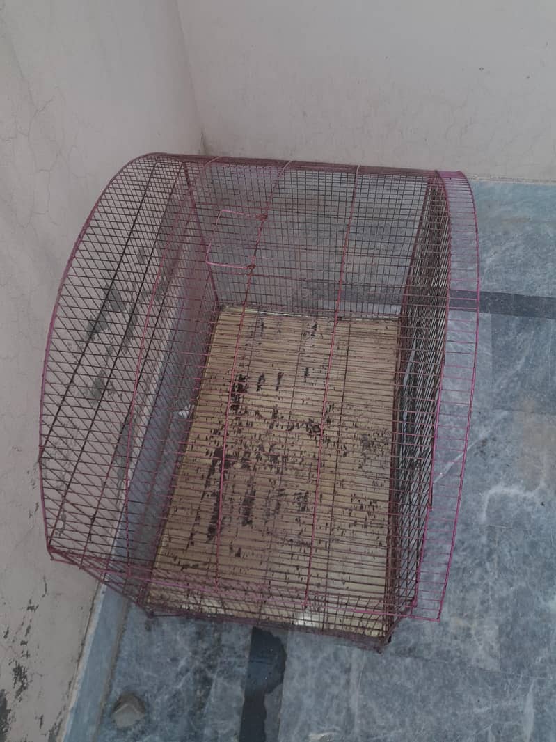 parrot cage 2