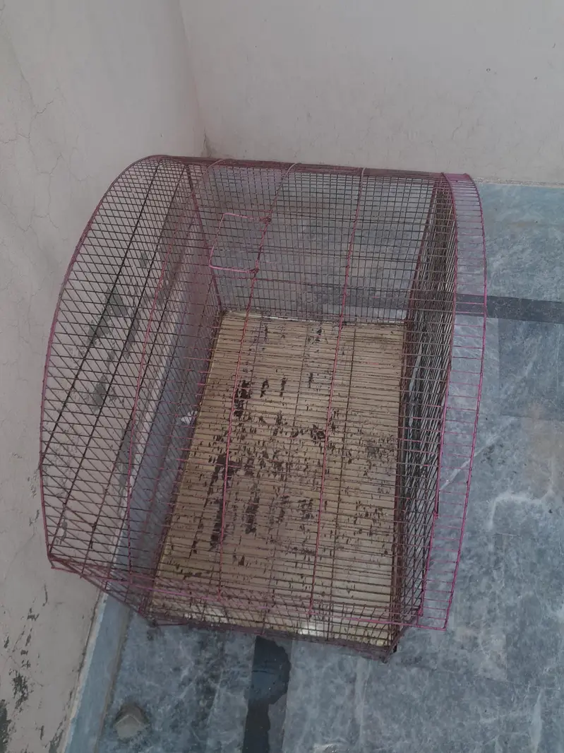 parrot cage — photo 3