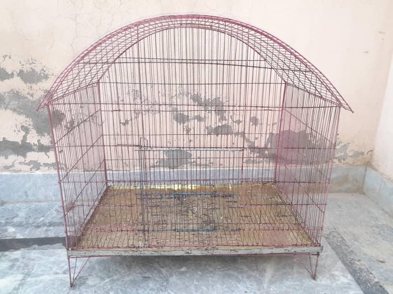 parrot cage 3