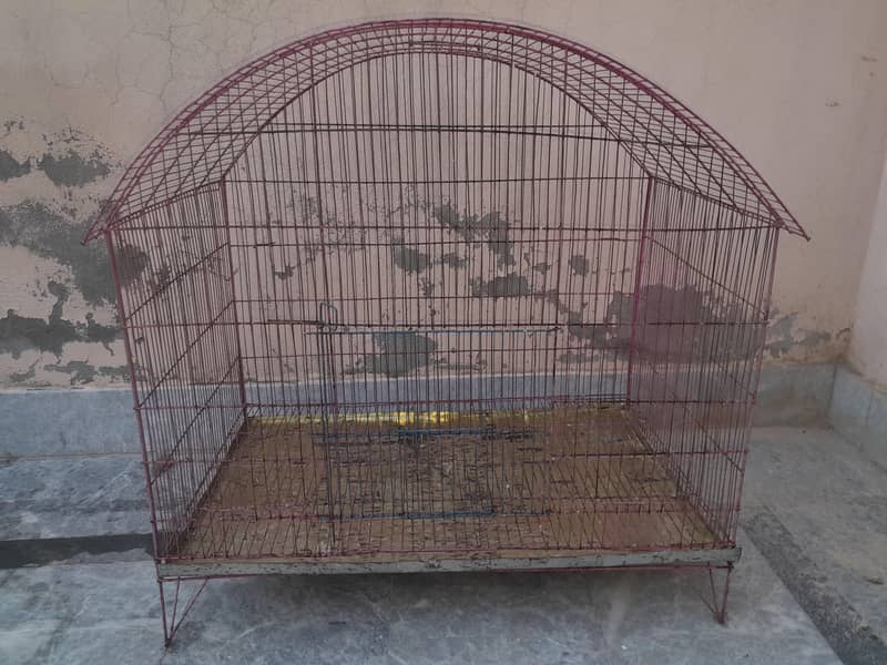 parrot cage 4