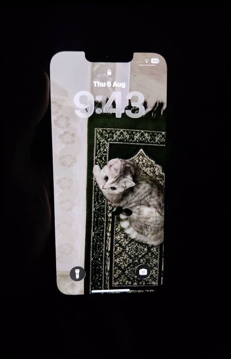 Apple iPhone 13 3