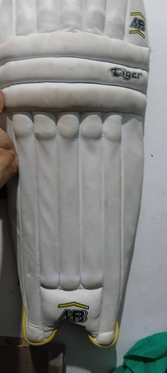 pad thi kit bag 4