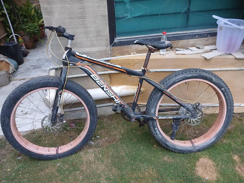 MOUNTAIN BICYCLE 0