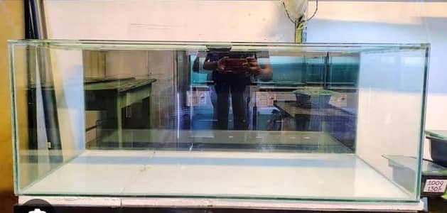 Fish Aquarium