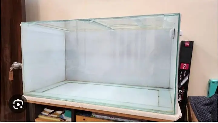 Fish Aquarium — photo 2