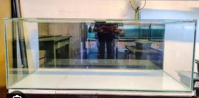 Fish Aquarium — photo 3