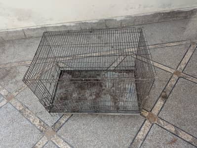 Raw Parrot cage