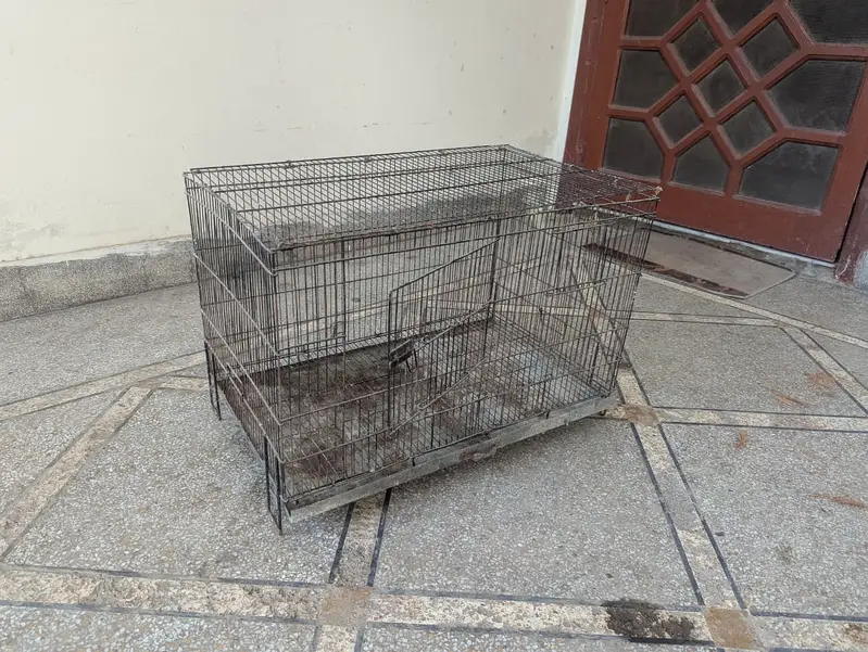 Raw Parrot cage — photo 2