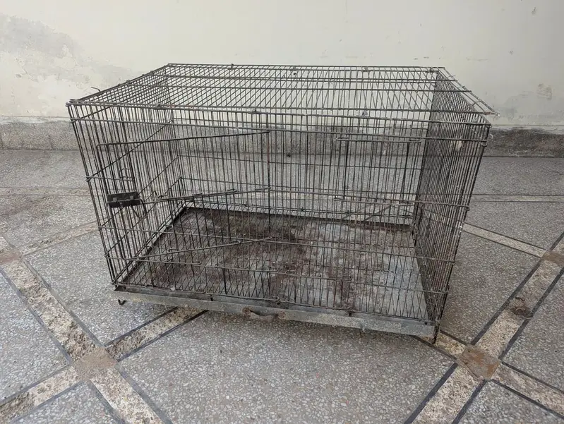 Raw Parrot cage — photo 3