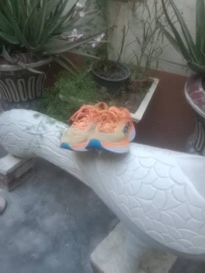 Hoka 8.                                                Asics brooks