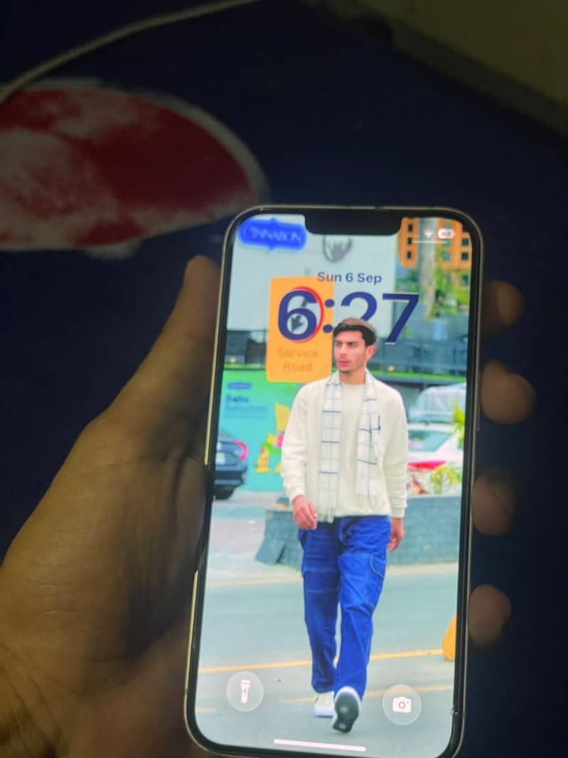 Apple iPhone 13 0