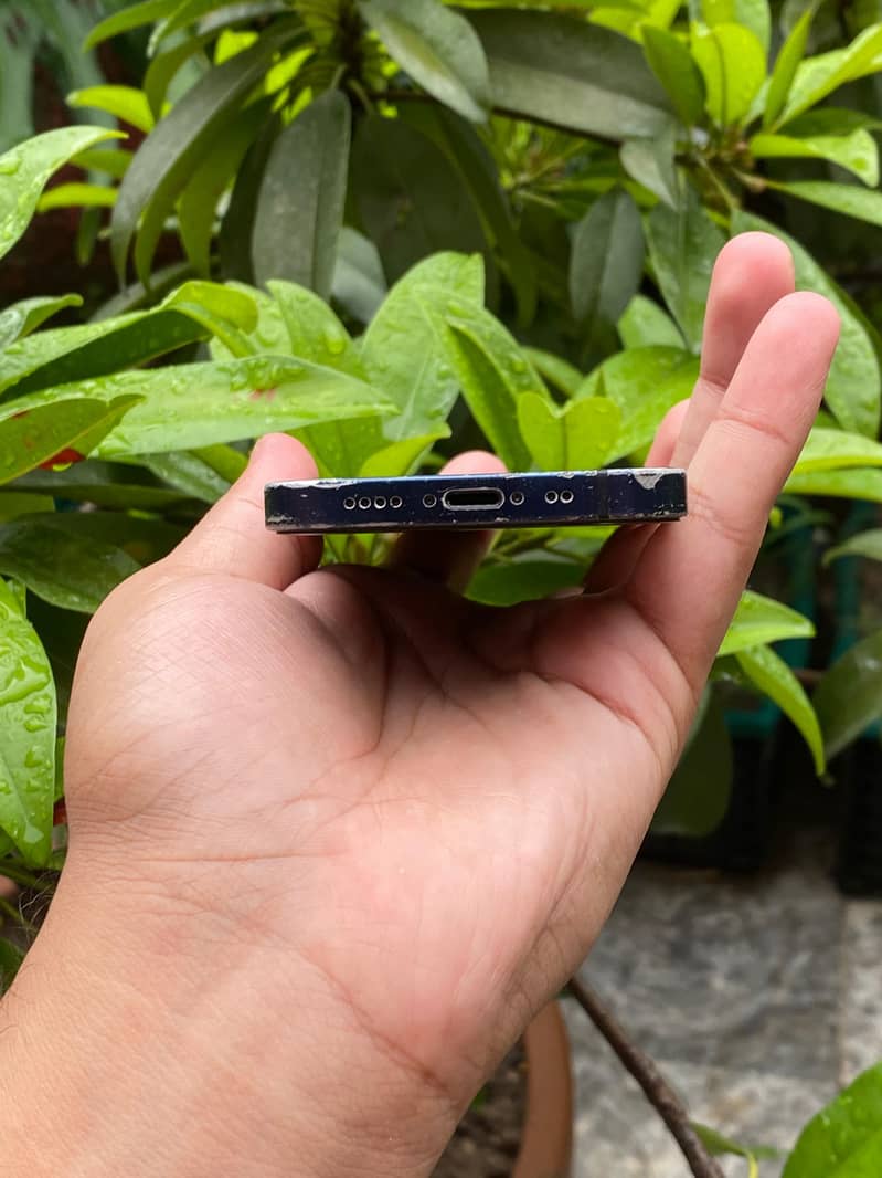 Apple iPhone 12 mini 3