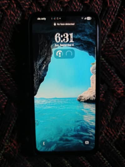 S21 plus black