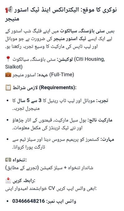 Tech and electronics store manger