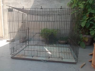 Birds cage size 3 feet front and side 3 feet best cage