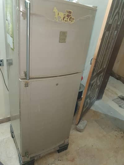 Fridge