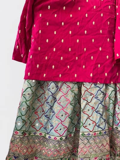 Rani Pink embroidered Lahenga