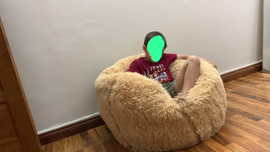 Premium bean bag 0