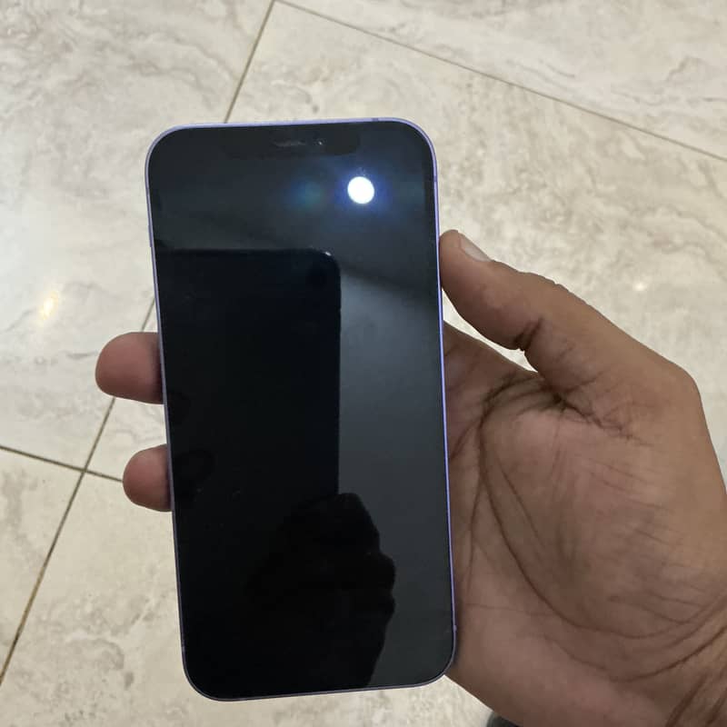 Apple iPhone 12 1