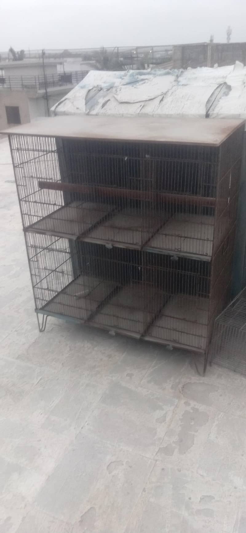 cage 6 position 0