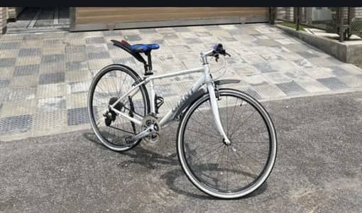 Giant r3 Escape