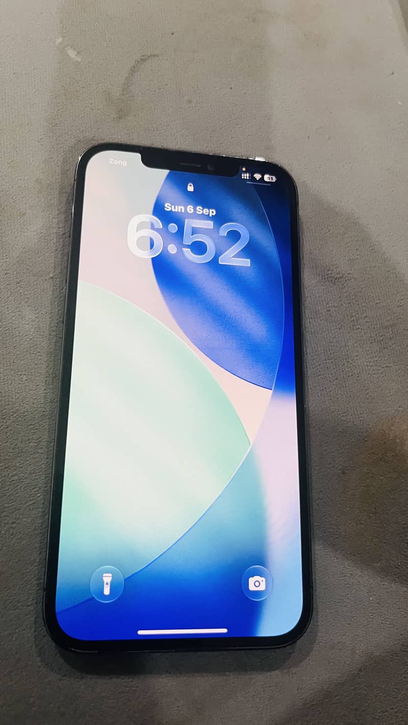 Apple iPhone 12 Pro Max 1
