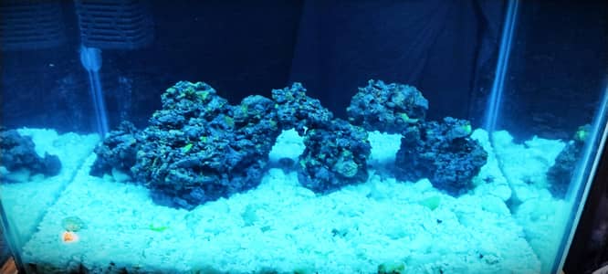 brand new lush condition aquarium