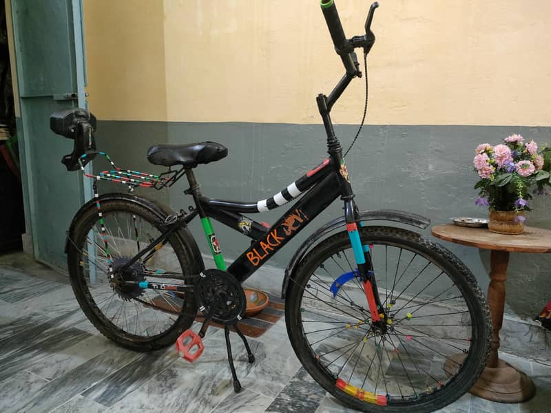 Cycle 1