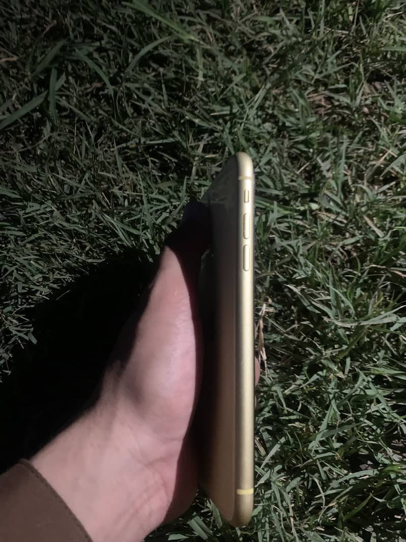 Apple iPhone 11 0
