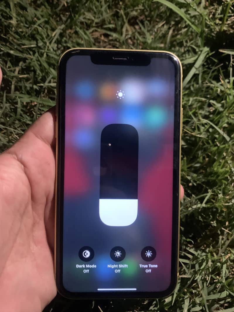 Apple iPhone 11 3