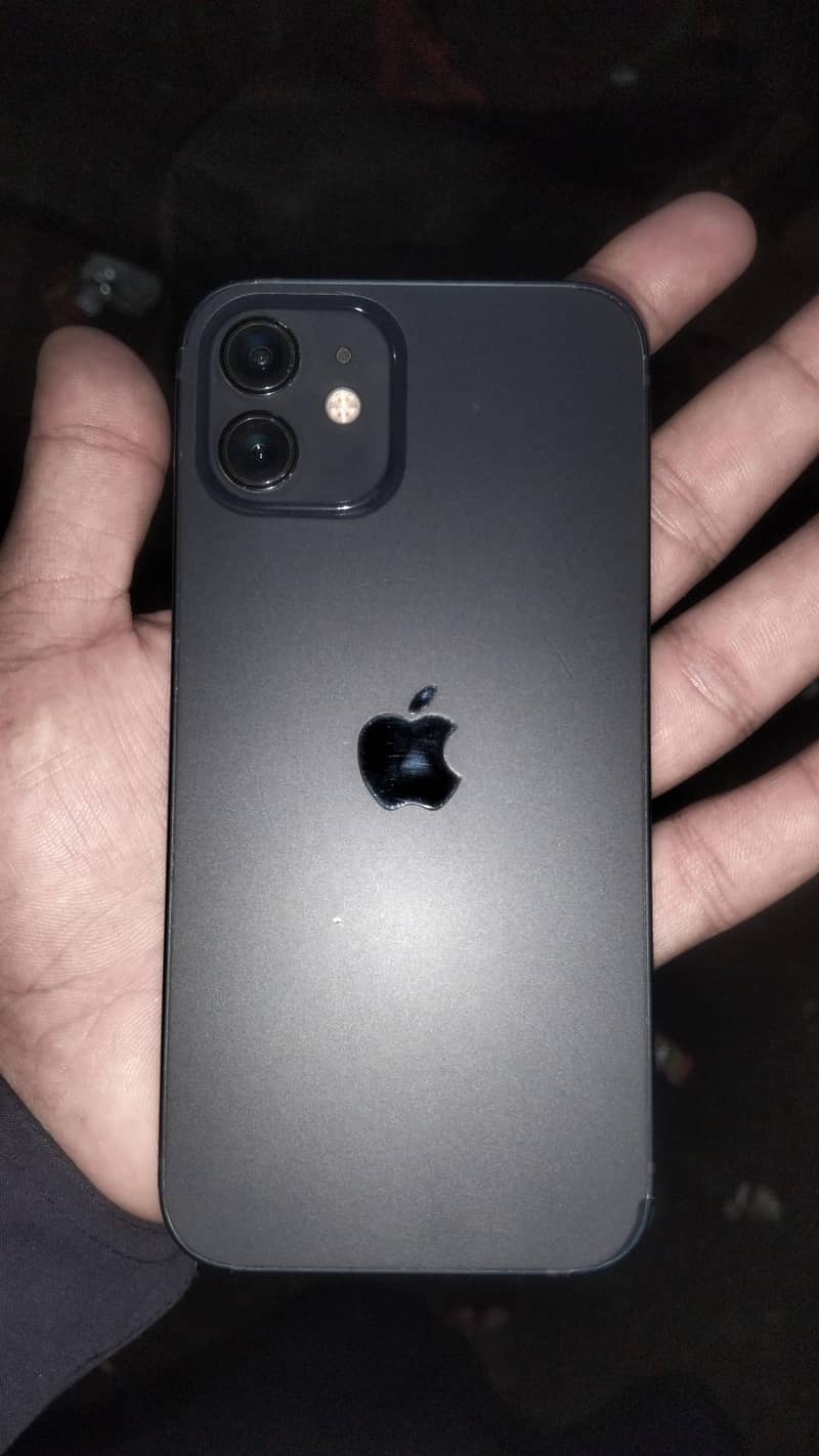 Apple iPhone 12 1