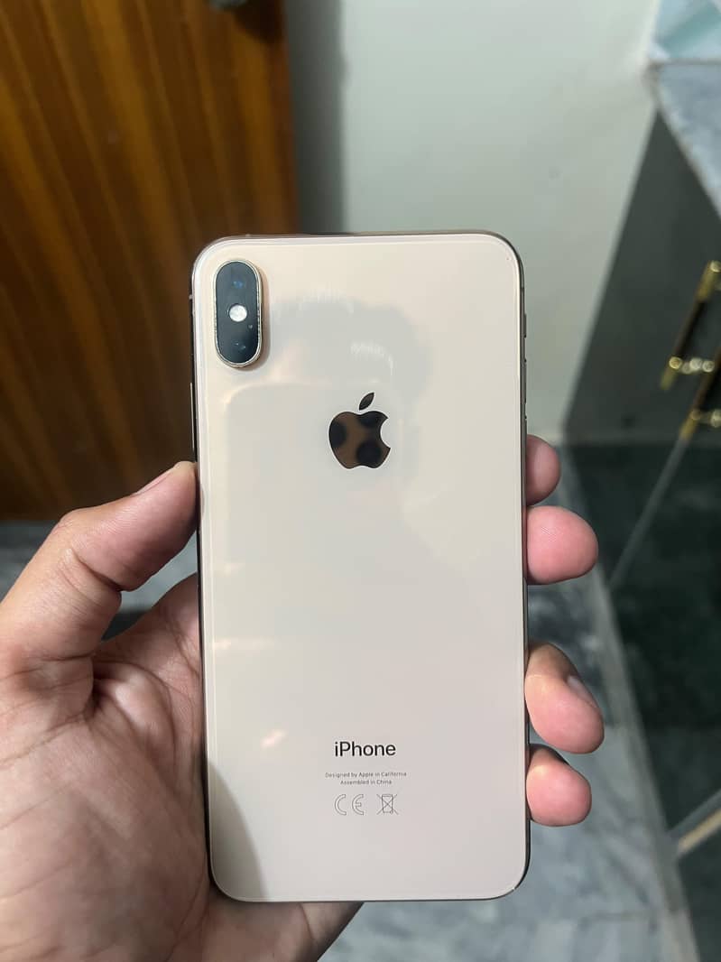 Apple iPhone XS Max 0