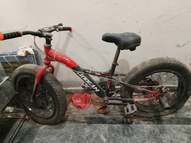 fat tayer cycle. . . . 1