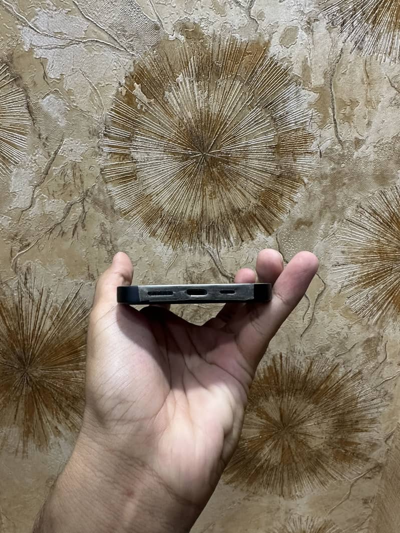Apple iPhone 13 0