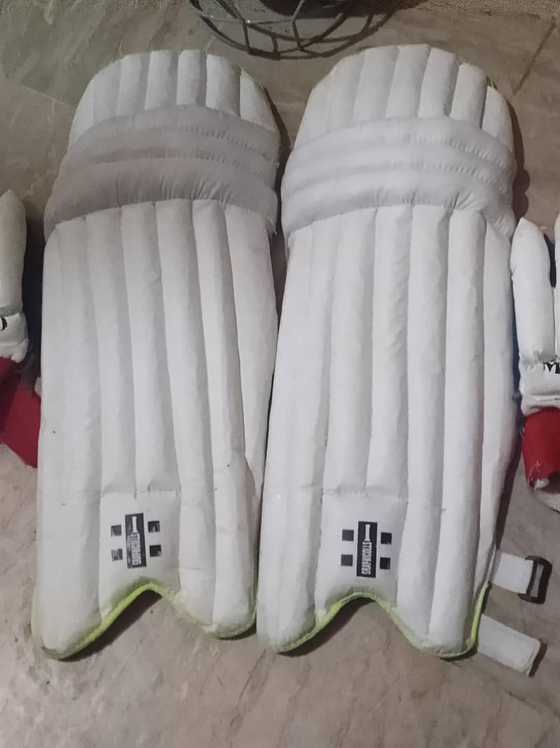 CRICKETER LOVER 1
