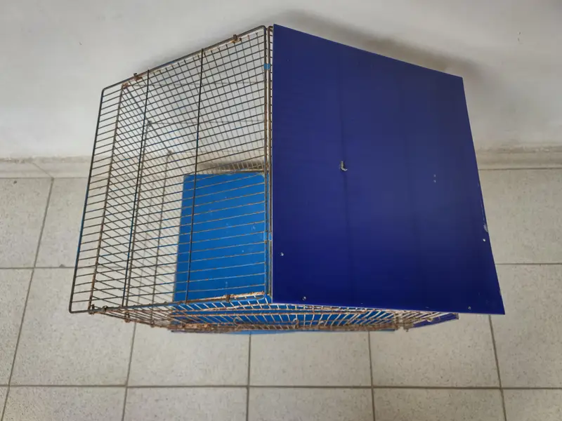 Pinjra (cage) 21 × 18 inch — photo 2