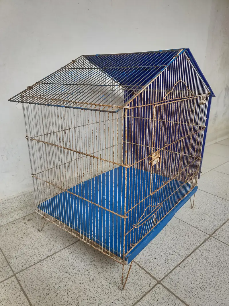 Pinjra (cage) 21 × 18 inch — photo 3