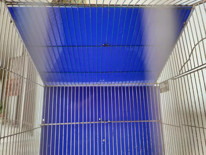 Pinjra (cage) 21 × 18 inch — photo 6