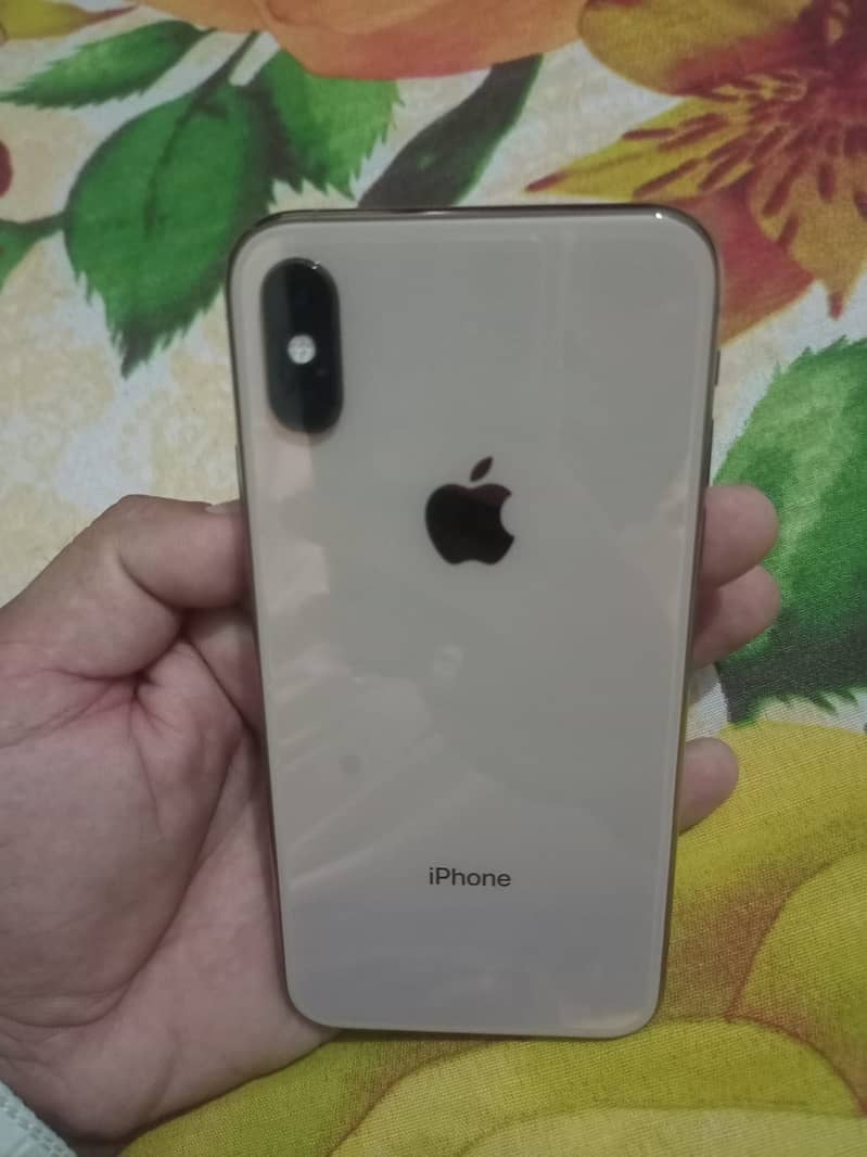 Apple iPhone XS 1